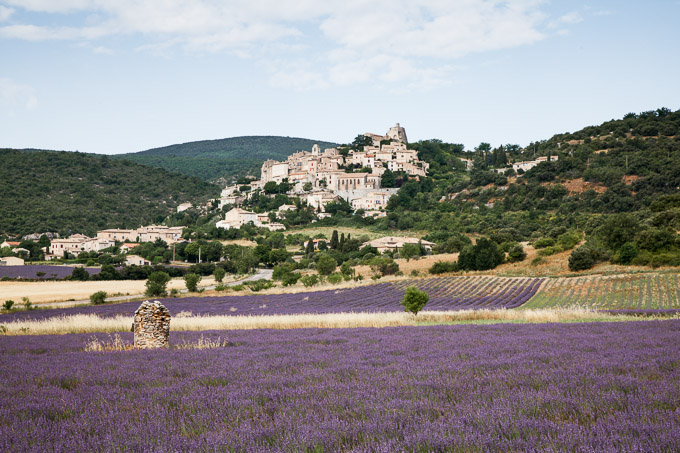 Lavendel bij Banon, Provence, Frankrijk | © Anne van Houwelingen | FotoTours.nl