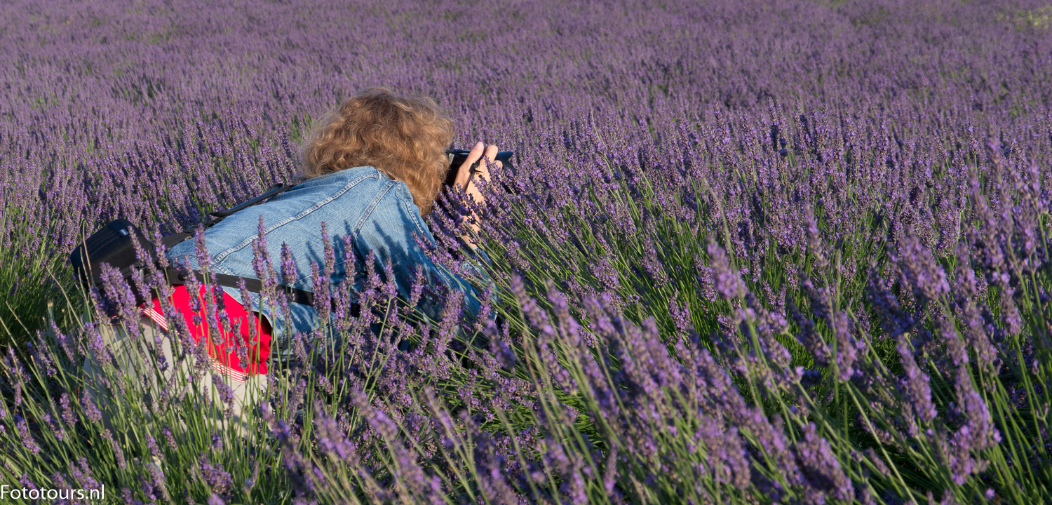 Foto deelnemer fotoreis Provence in lavendel, copyright Anne van Houwelingen